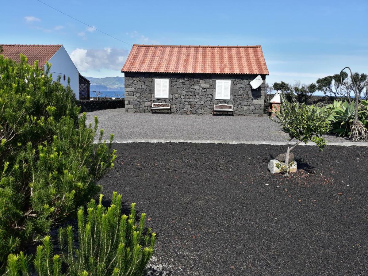 Casa Caminho Da Barca Villa Madalena  Dış mekan fotoğraf